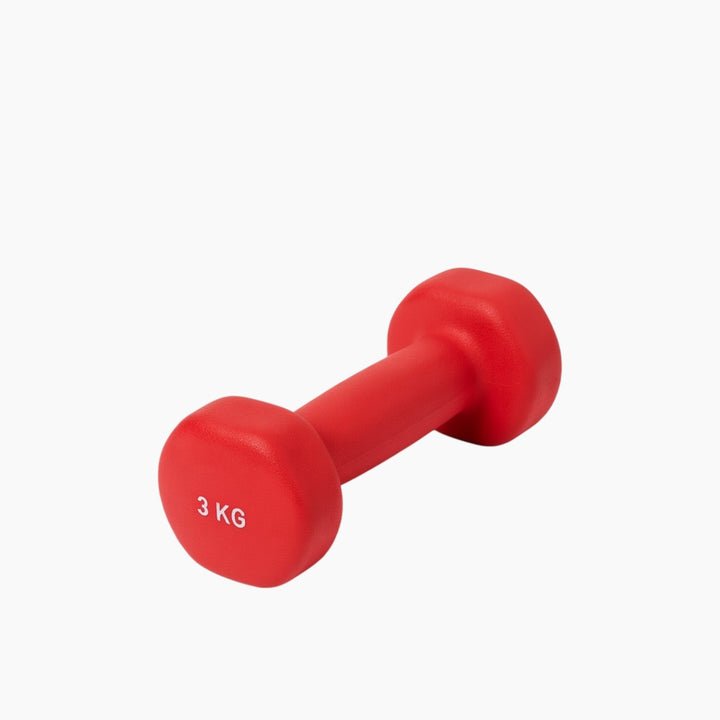 Coloured Vinyl Dumbbell Weights