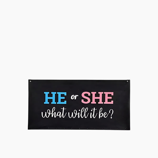 Gender Reveal Bag