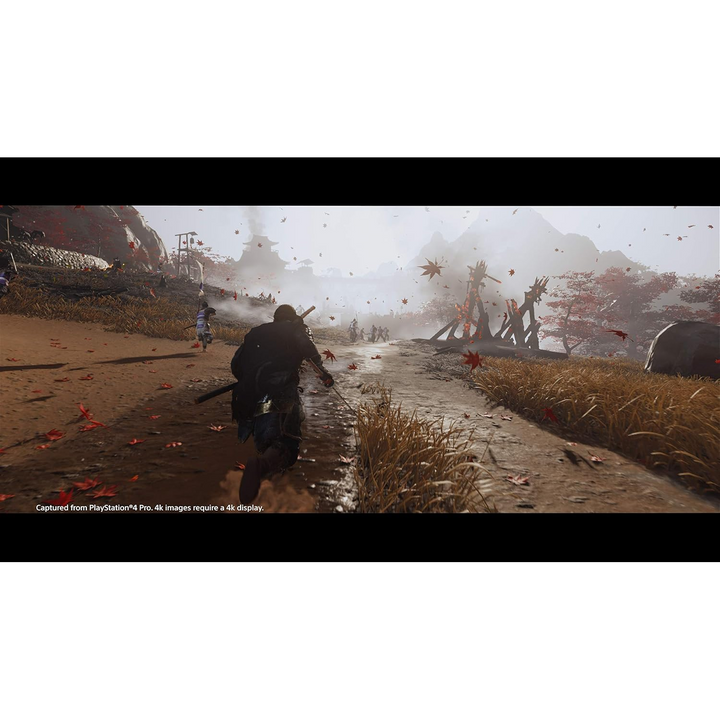 Sony Ghost of Tsushima Region All (PS4)