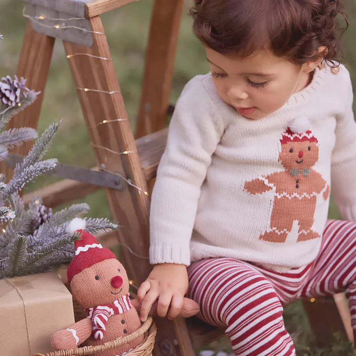 Elegant Baby Gingerbread Holiday Pullover Set