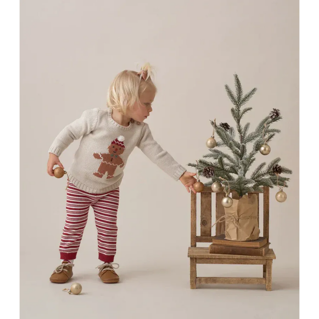 Elegant Baby Gingerbread Holiday Pullover Set