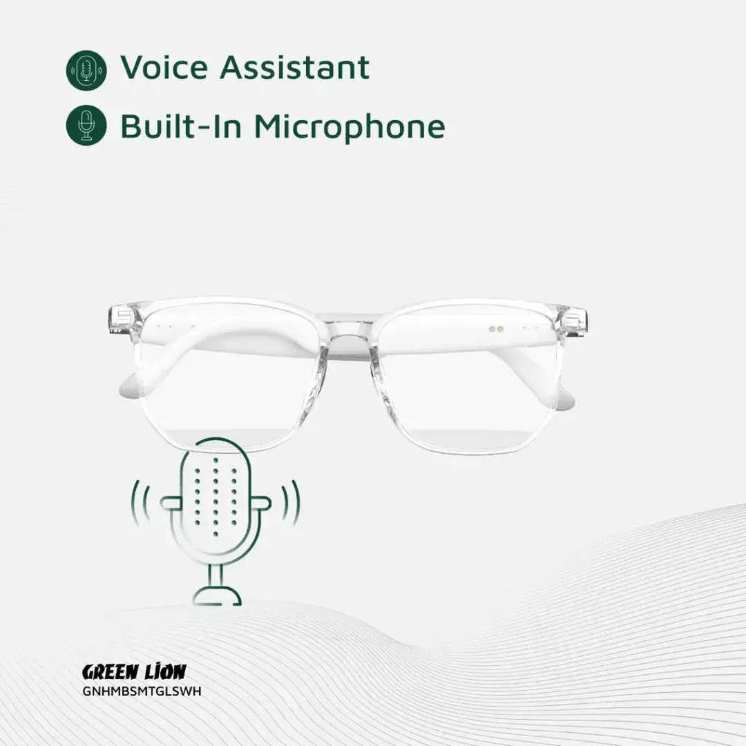 Green Lion Hamburg Smart Glasses