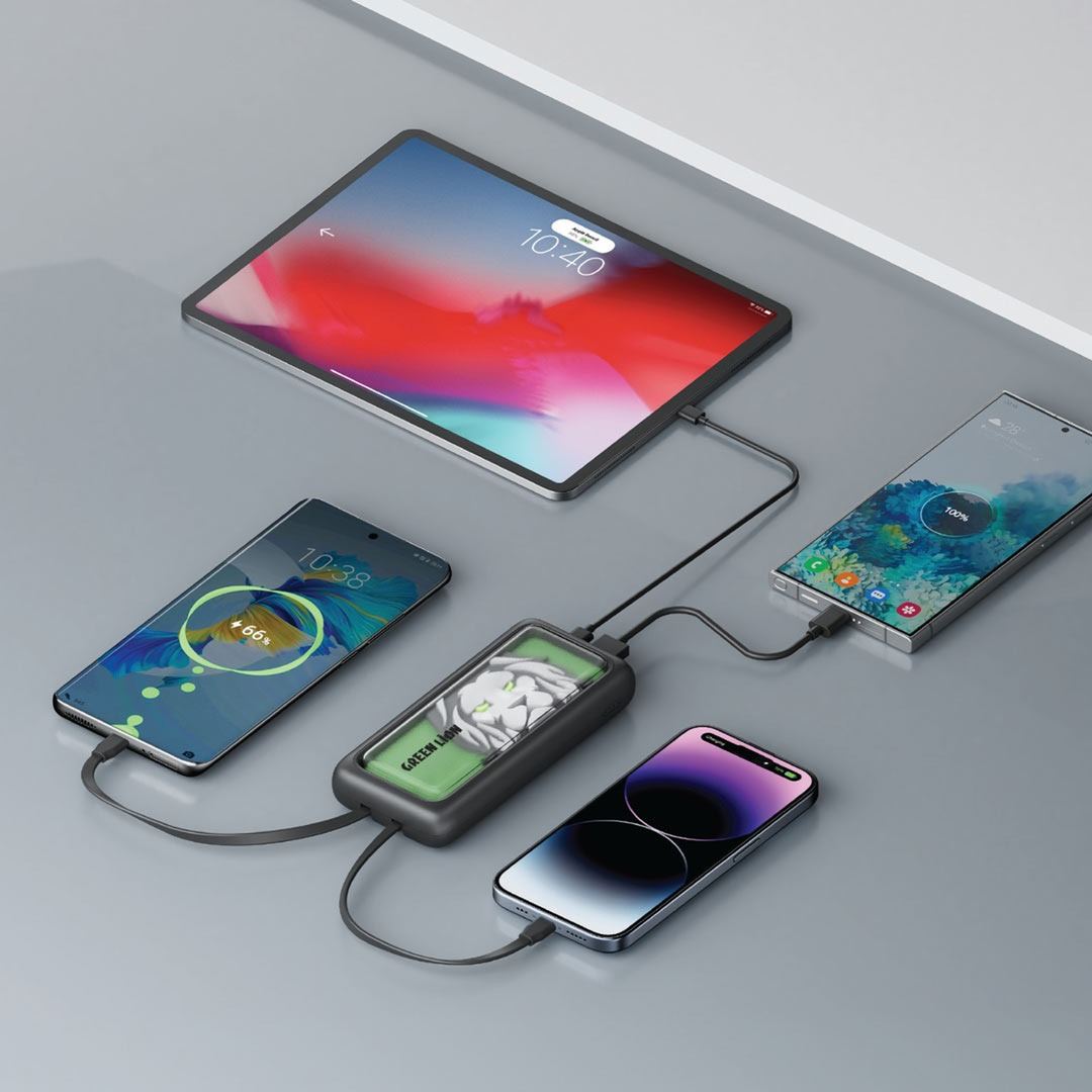 Green Lion Le Lion 10000mAh power bank with USB-C and USB-A ports