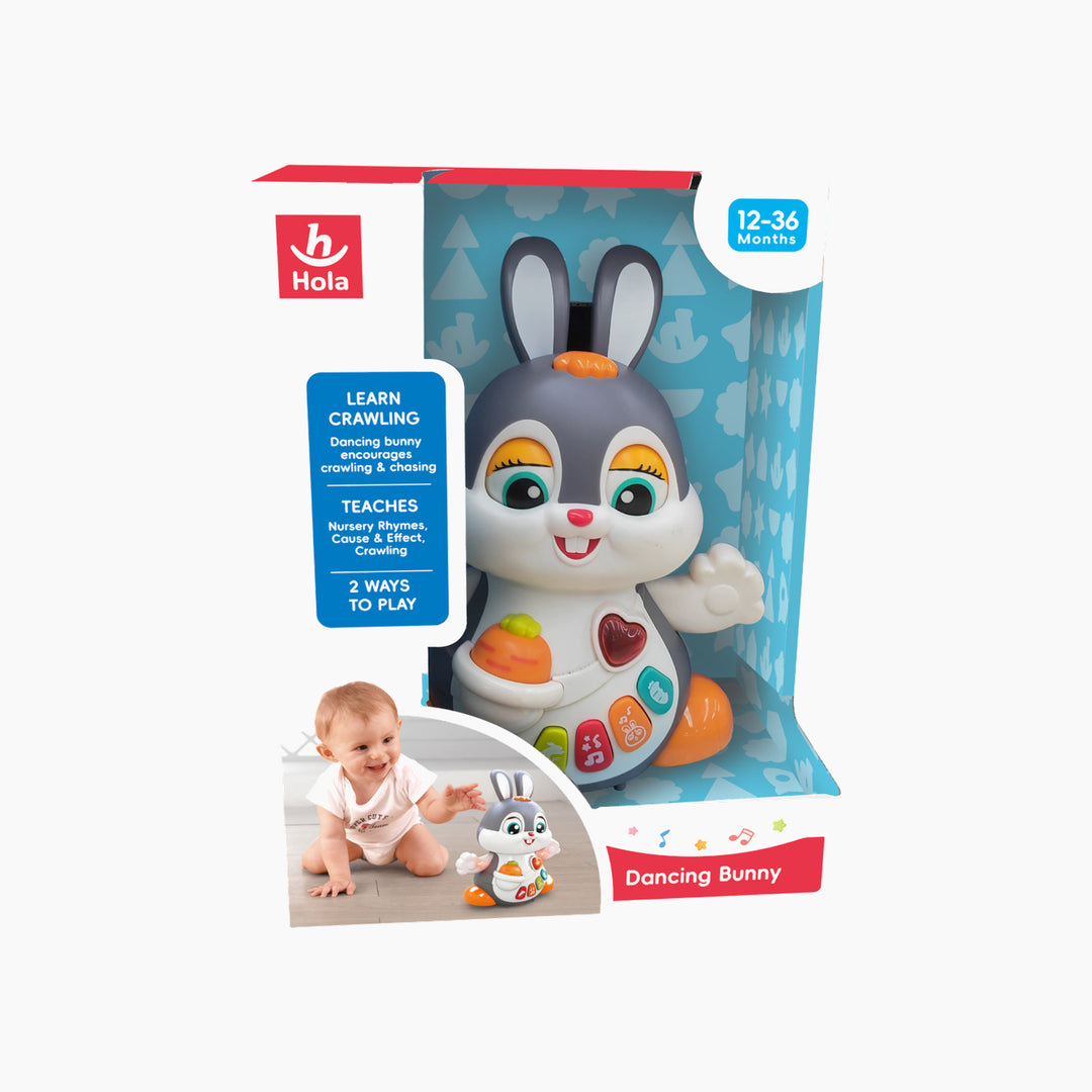 Hola Dancing Bunny Toy