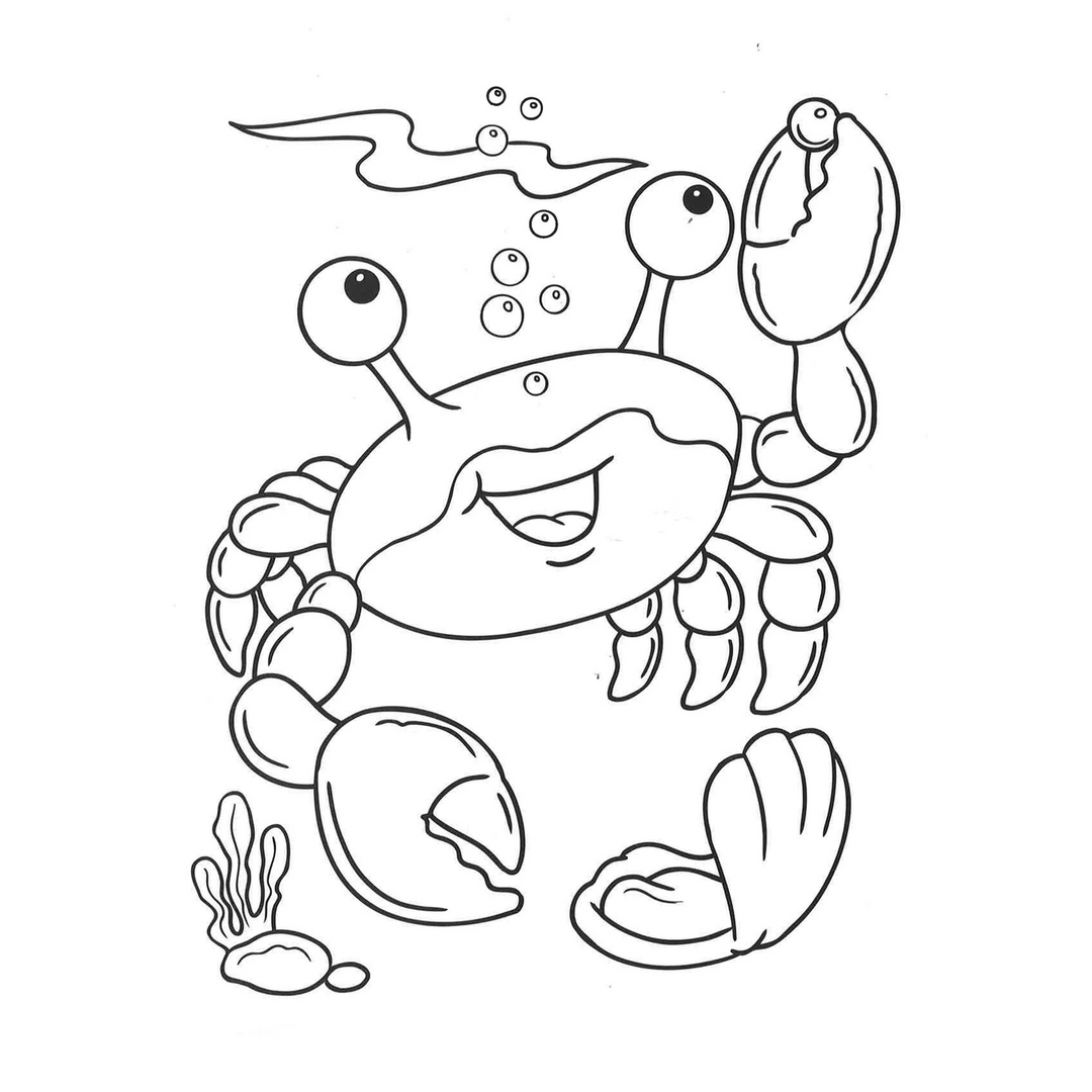 Hi 5 Crayola Colouring Book Bird