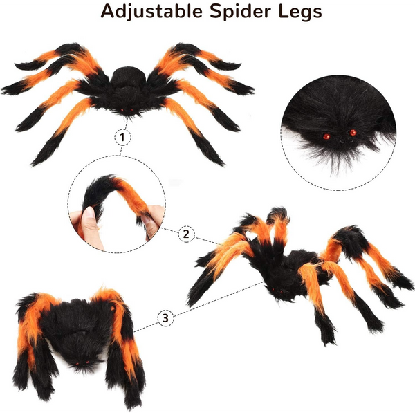 Hairy Colored Spider