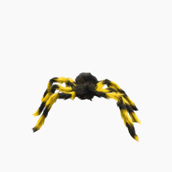 عنكبوت ملون وشعري