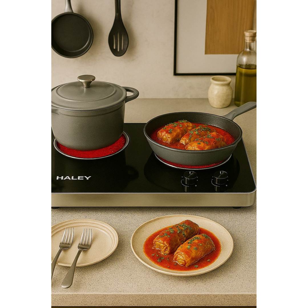 Haley 2-Burner Infrared Electric Stove