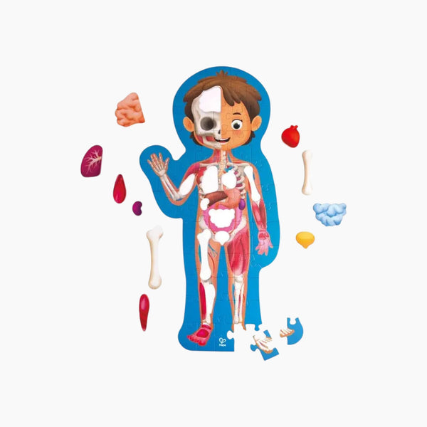 Human Body Puzzle