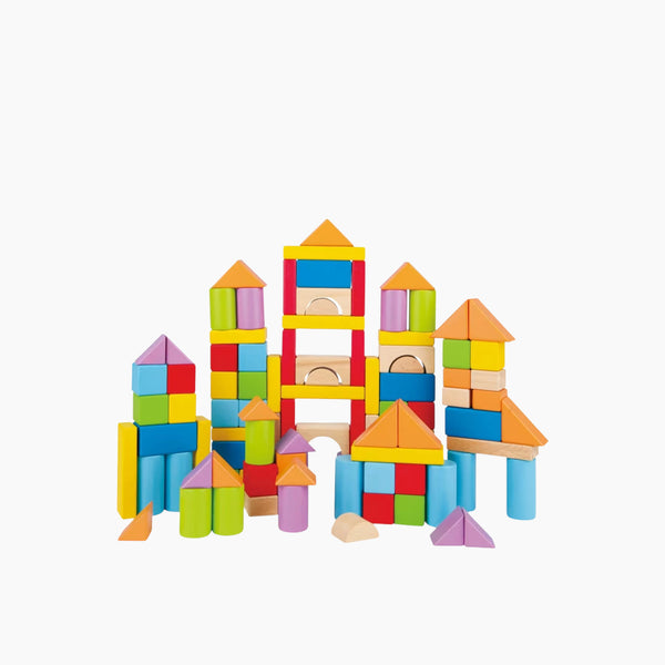 101 Pieces Wonderful Building Blocks Set
