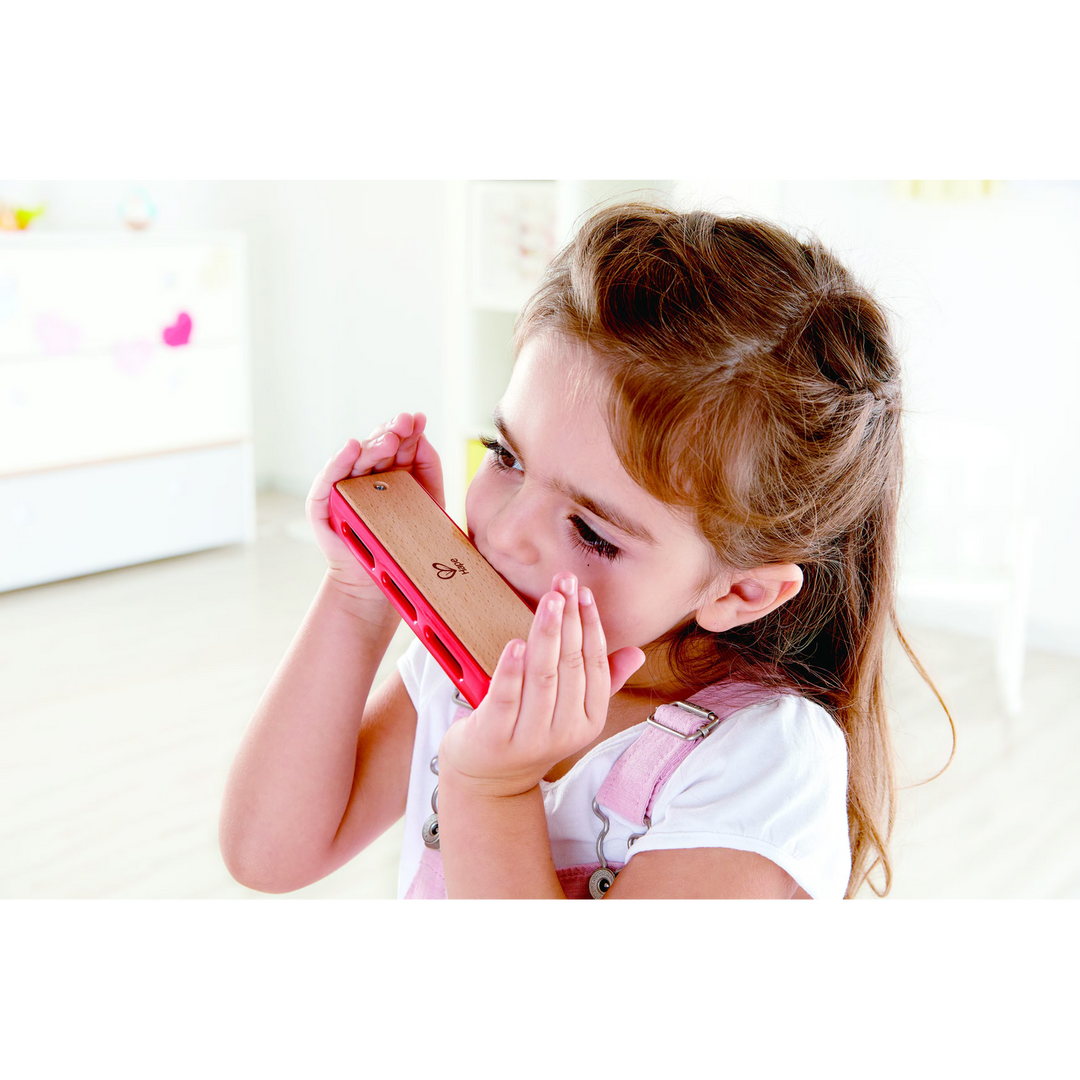 Hape Blues Harmonica Wooden Musical Instrument