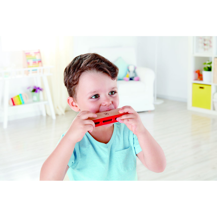 Hape Blues Harmonica Wooden Musical Instrument