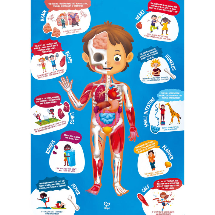 Hape Human Body Jigsaw Puzzle 60Pcs W/ 10 Pcs Wooden Body Parts