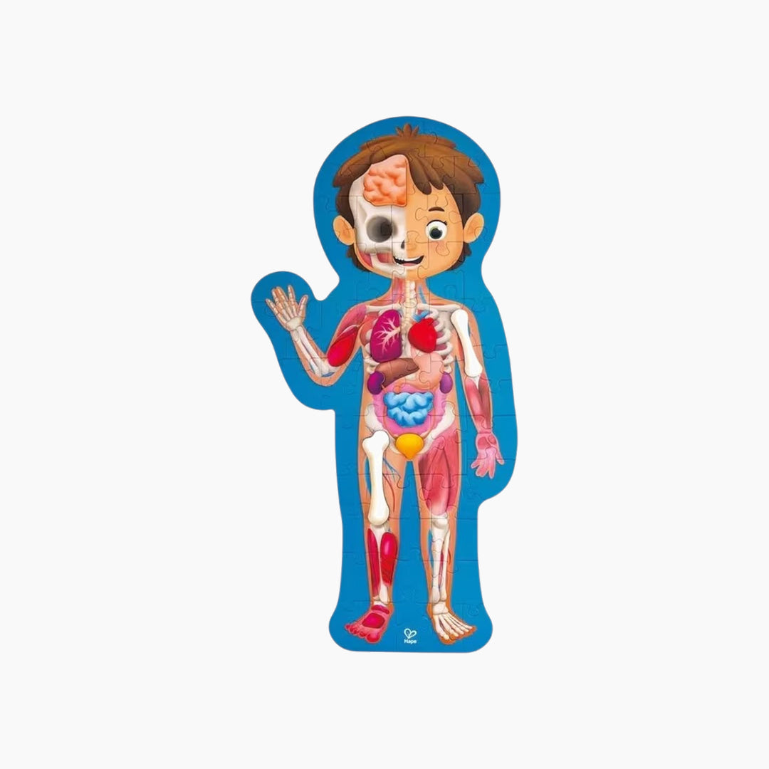 Hape Human Body Jigsaw Puzzle 60Pcs W/ 10 Pcs Wooden Body Parts