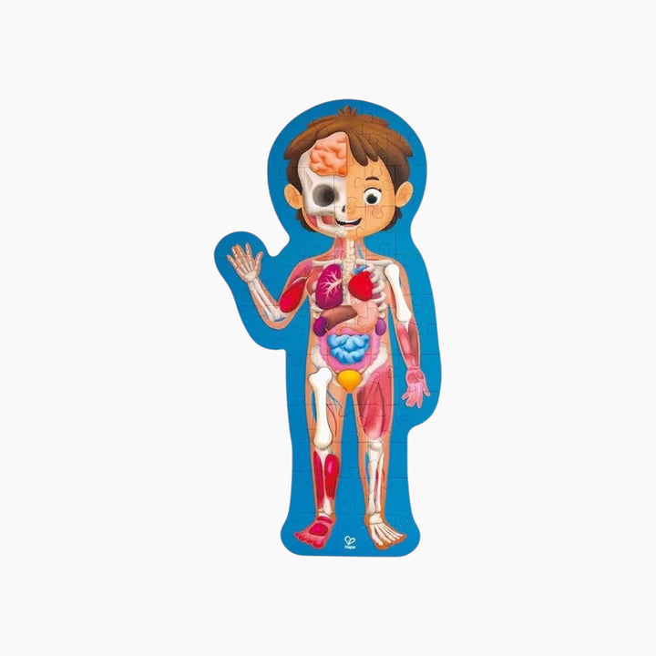 Hape Human Body Jigsaw Puzzle 60Pcs W/ 10 Pcs Wooden Body Parts