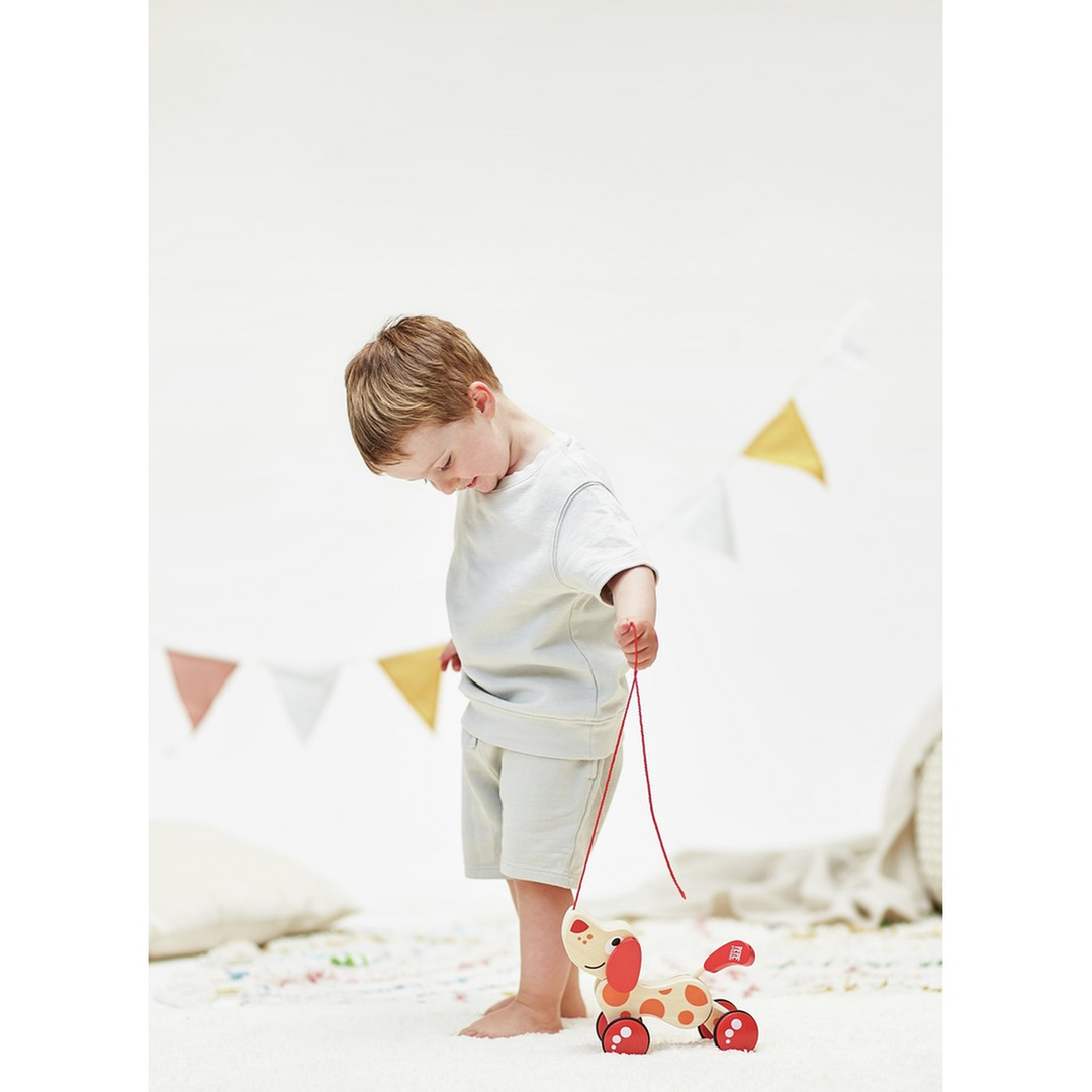 HapePepePullAlong_WoodenWalkingDogToyforToddlersEncouragingBalance_Movement6943478006348_3_framed_f271d651-ac1e-468a-a998-028c0a5a23ef - HUNA