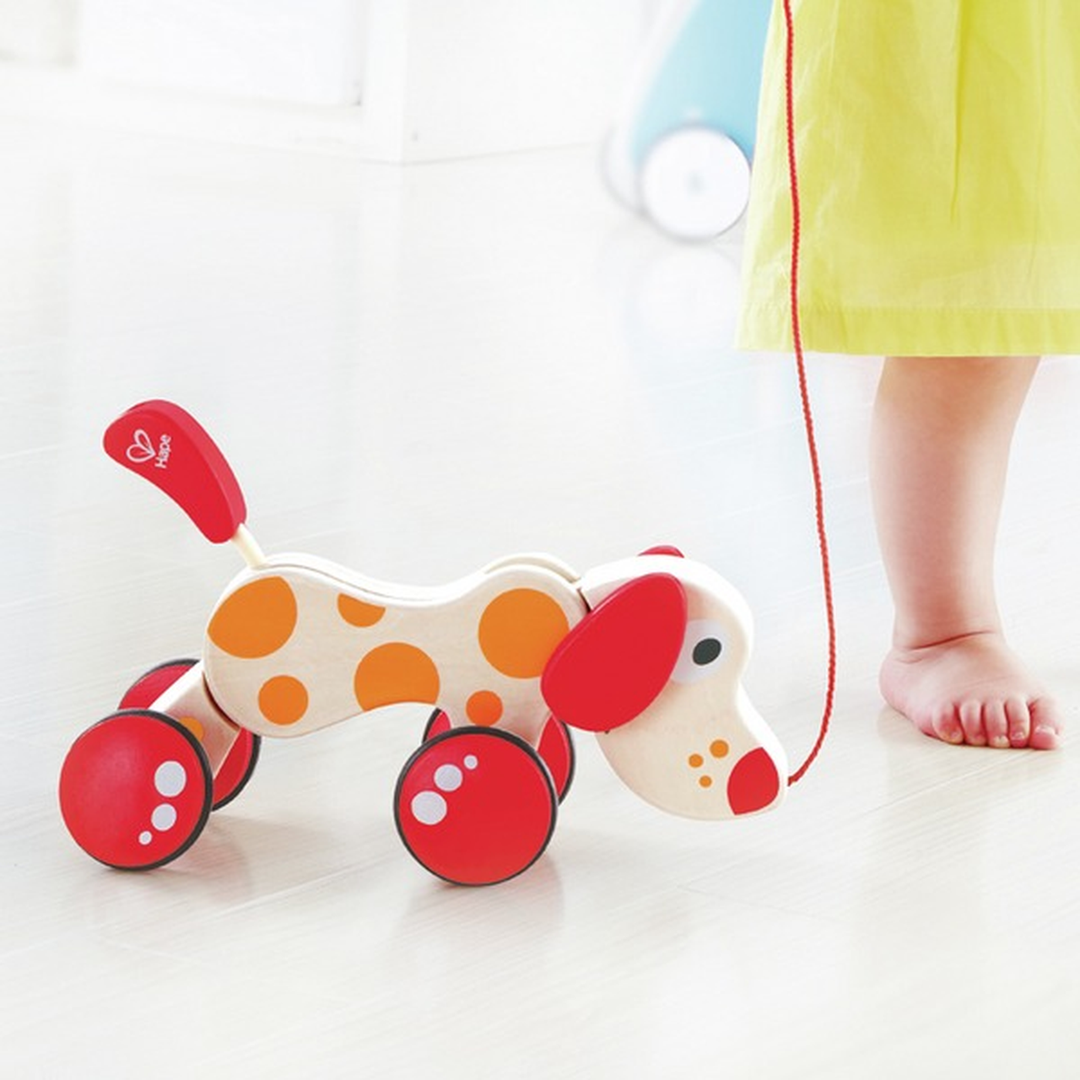 HapeWalk-A-LongSnail_WoodenPull-AlongSnailwithShapeSorterandStorageforToddlers6943478008816_9_framed_2fae9611-dae8-4c9b-93a3-76ab34cc6344 - HUNA