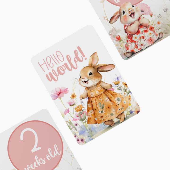 Twinkle &amp; Giraffe Milestone Cards Set of 30