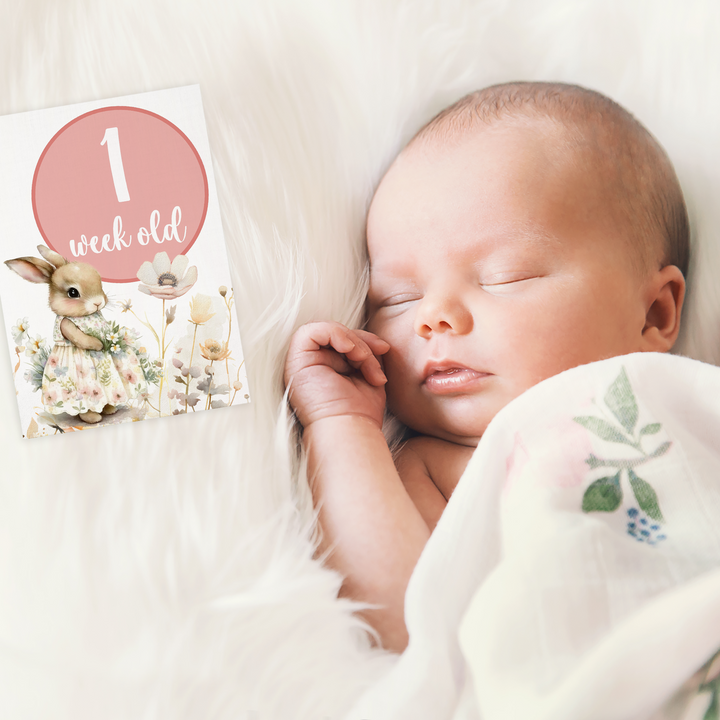 Twinkle &amp; Giraffe Milestone Cards Set of 30