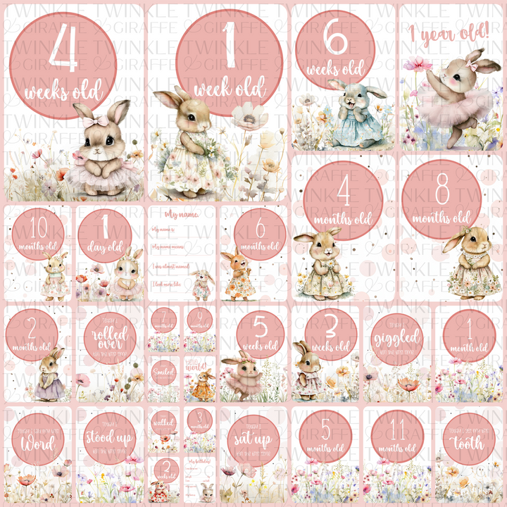 Twinkle &amp; Giraffe Milestone Cards Set of 30