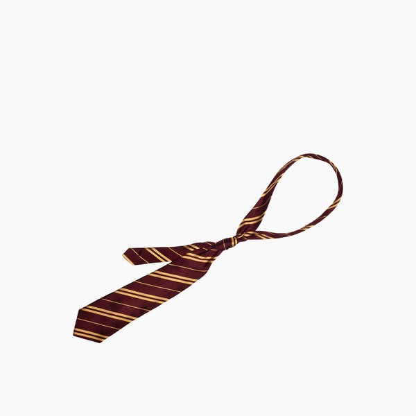 Harry Potter Tie