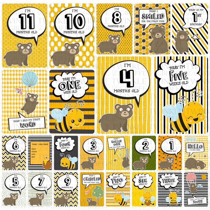 Twinkle &amp; Giraffe Milestone Cards Set of 25