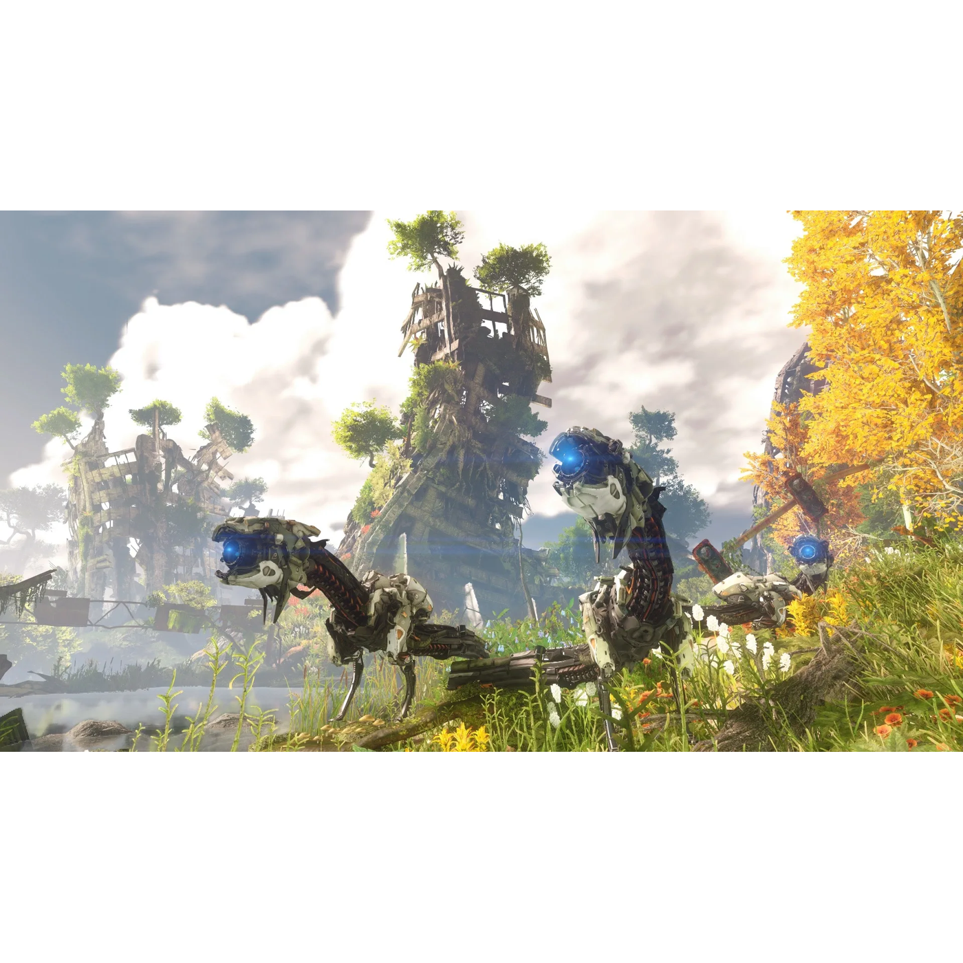 Game Planet Horizon Zero Dawn Game Game Planet Horizon Zero Dawn Game
