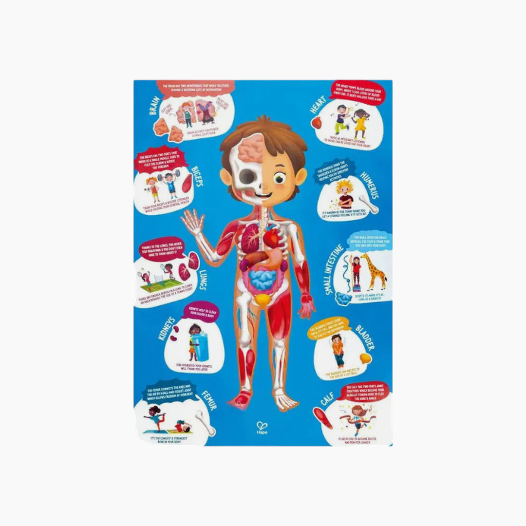 Hape Human Body Puzzle