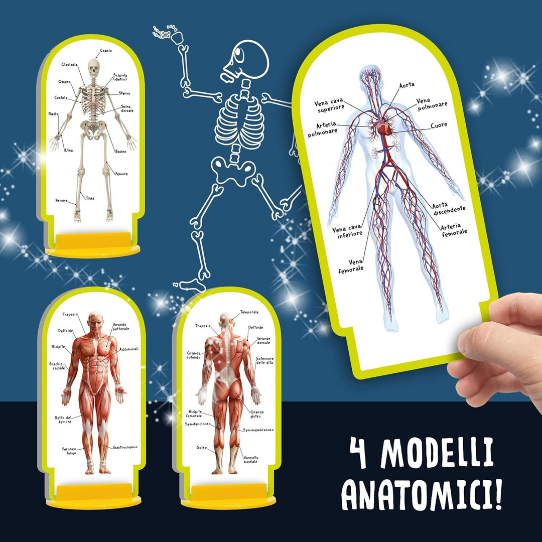 Lisciani I&