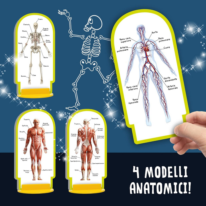 Lisciani I&