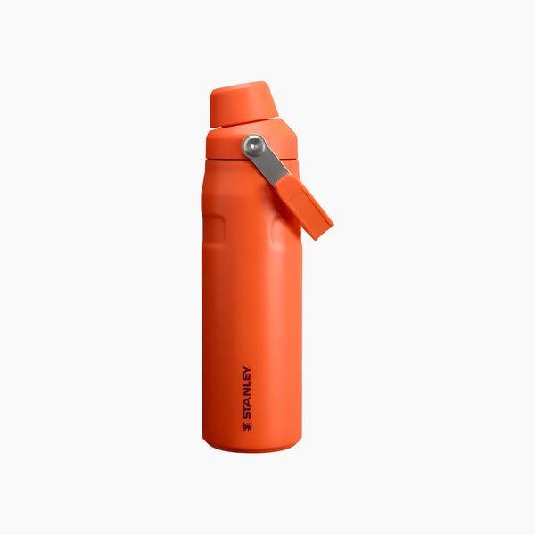 Iceflow™ Bottle With Fast Flow Lid 24 oz