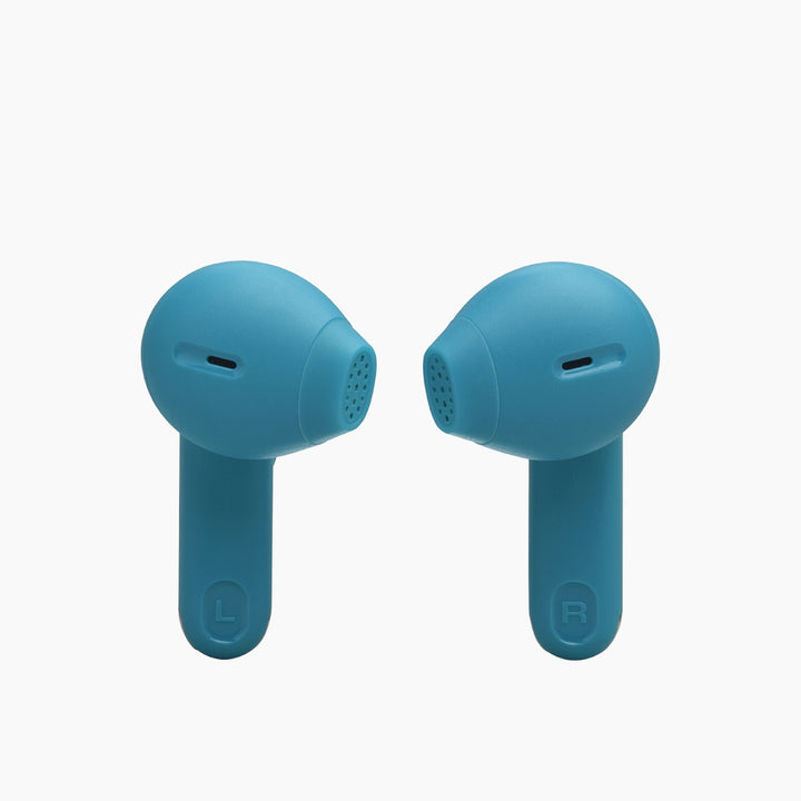 JBL Tune Flex 2 ANC Earbuds