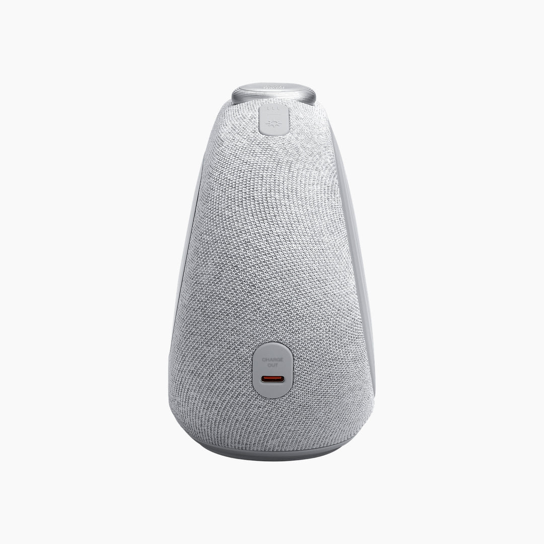 JBL Horizon 3 Bluetooth® Clock Radio Speaker - Gray