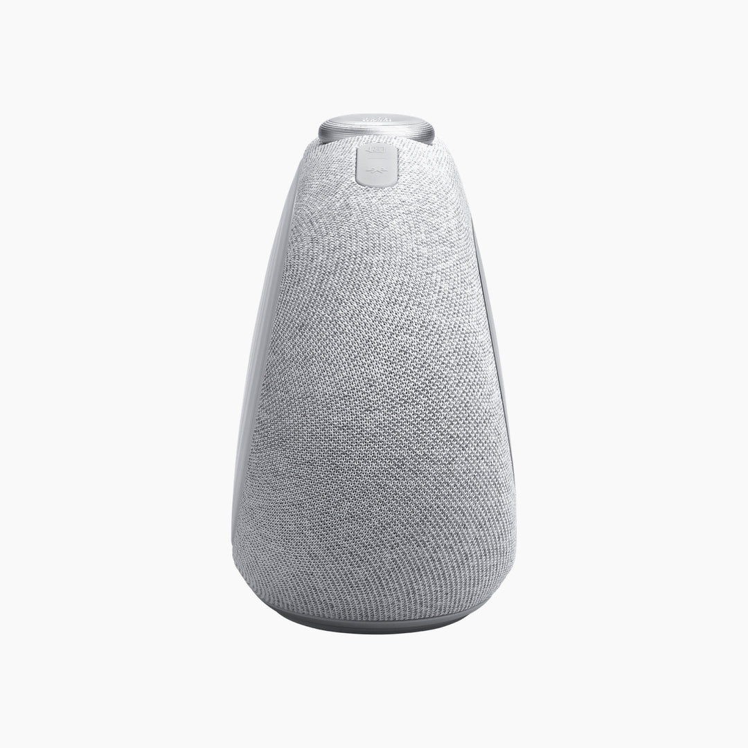 JBL Horizon 3 Bluetooth® Clock Radio Speaker - Gray