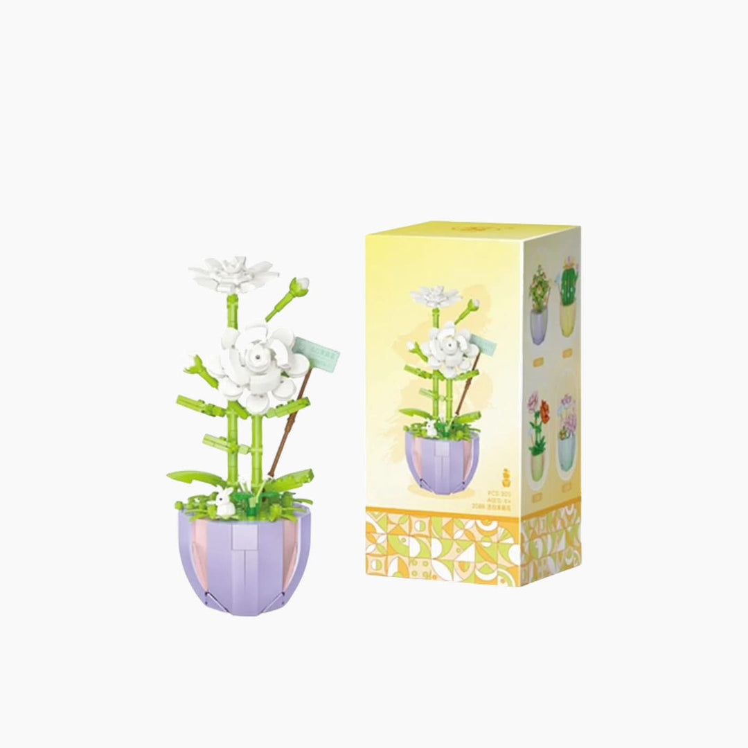 Jasmine Pot Board Game