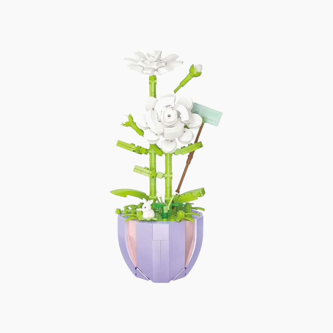 Jasmine Pot Board Game