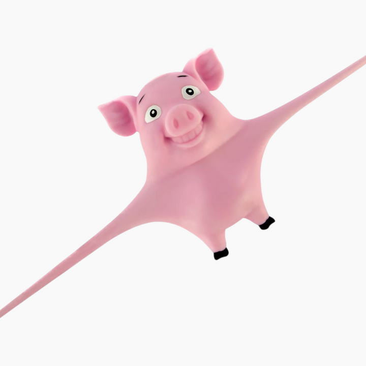 KYCFTStretchandSmashPig_6 - HUNA