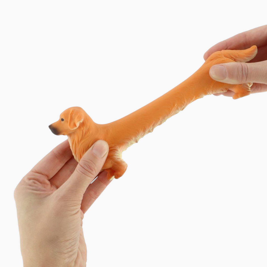 KYCFTStretchyGoldenRetriever_3 - HUNA