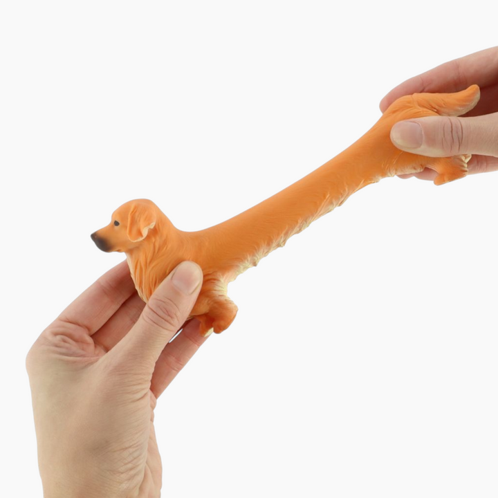 KYCFTStretchyGoldenRetriever_3 - HUNA