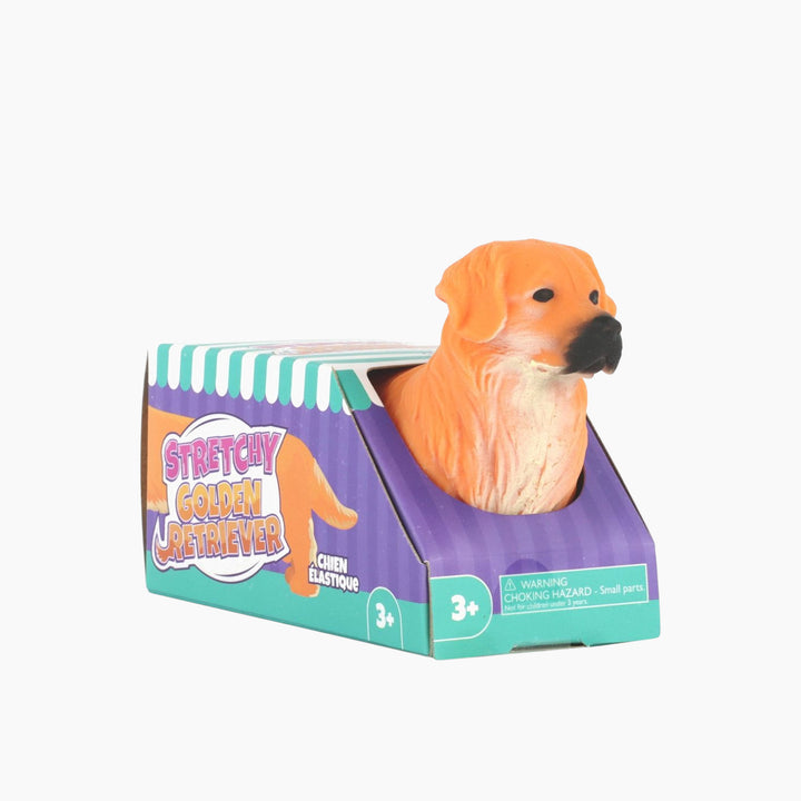 KYCFTStretchyGoldenRetriever_formatted - HUNA