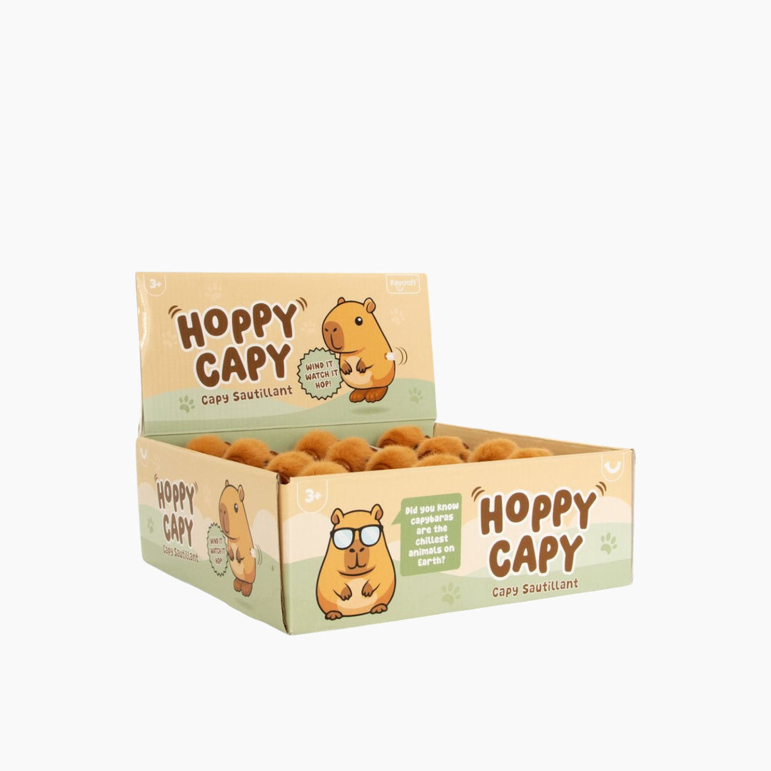 Keycraft wind-up capybara novelty toy