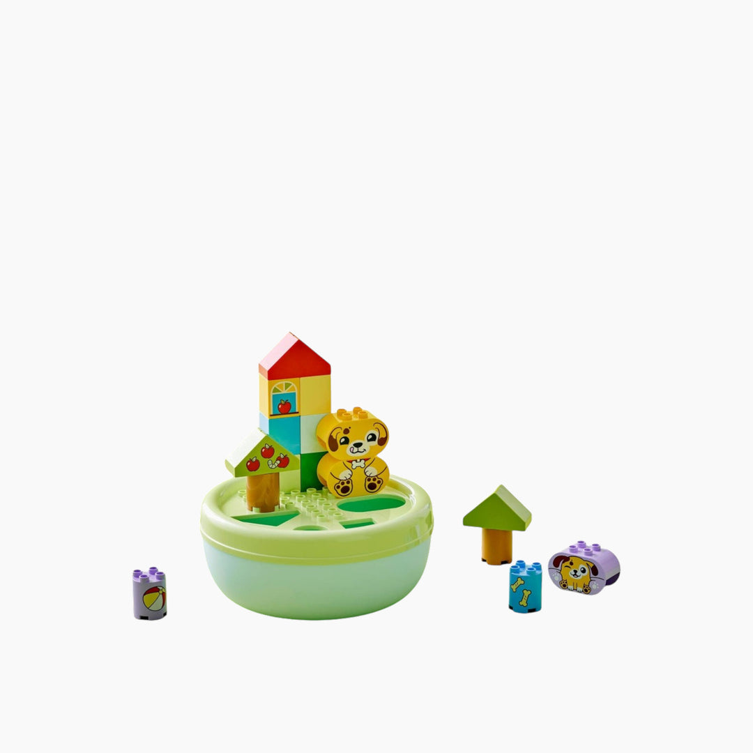 LEGO Shape Sorter: Puppy House- 17pcs