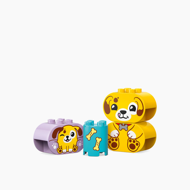 LEGO Shape Sorter: Puppy House- 17pcs