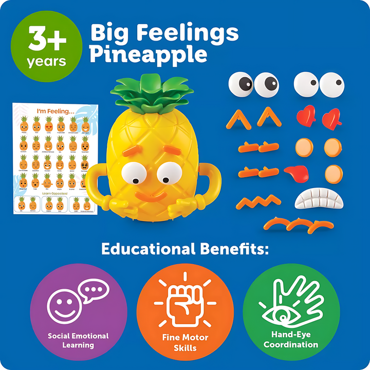 The Learning Resources Big Feelings Pineapple