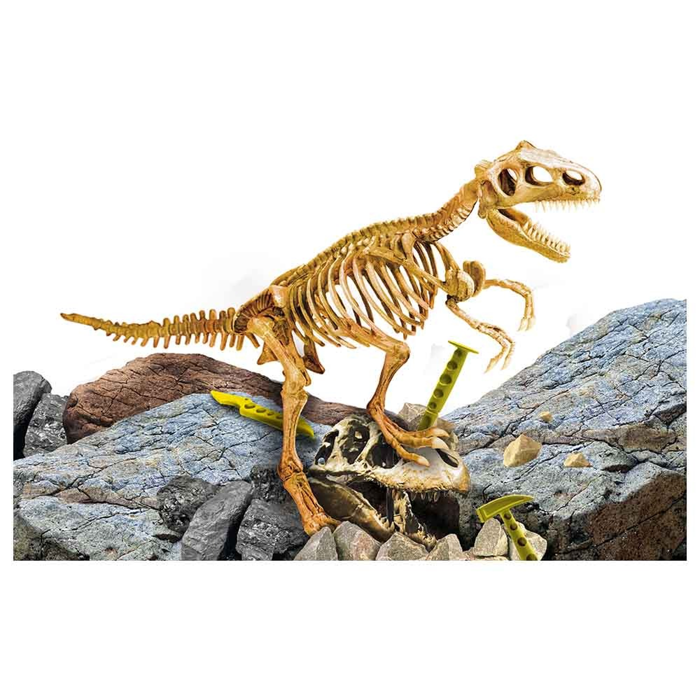 Lisciani I'm A Genius Super Kit T Rex Lisciani I'm A Genius Super Kit T Rex
