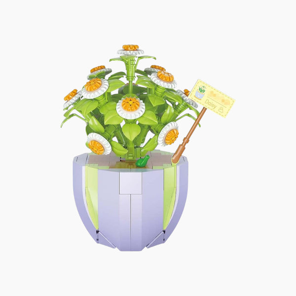 Little Daisy Pot