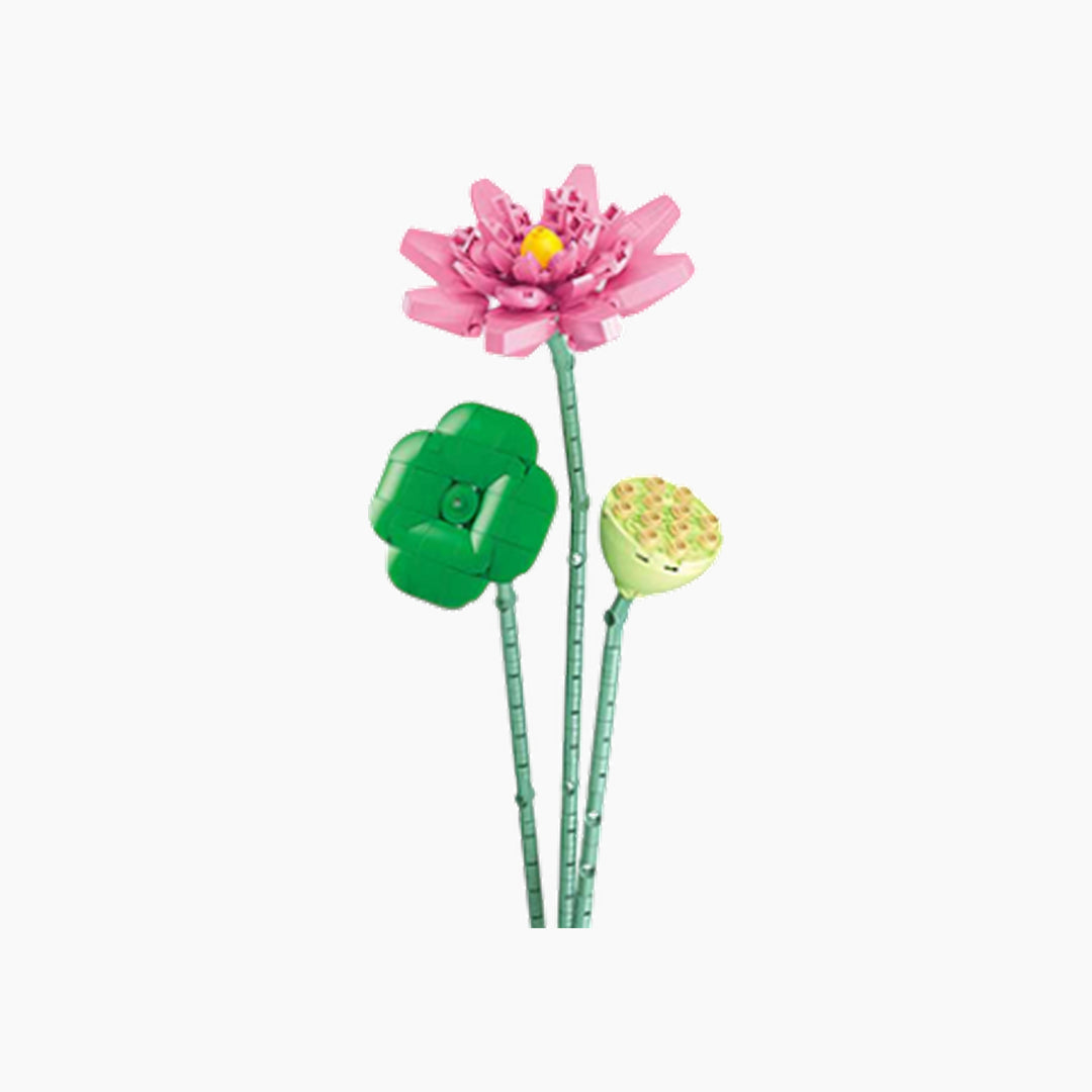 PLEYERID Lotus 258PCS