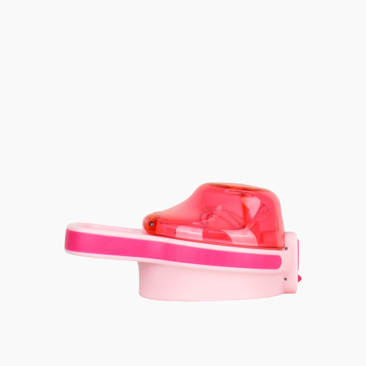 Aquaflask Mallows Straw Lid Water Bottle Accessory