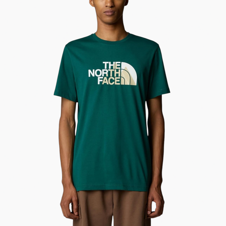 The North Face Biner Graphic 1 Tee