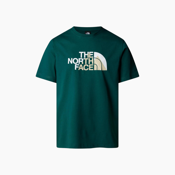 The North Face Biner Graphic 1 Tee